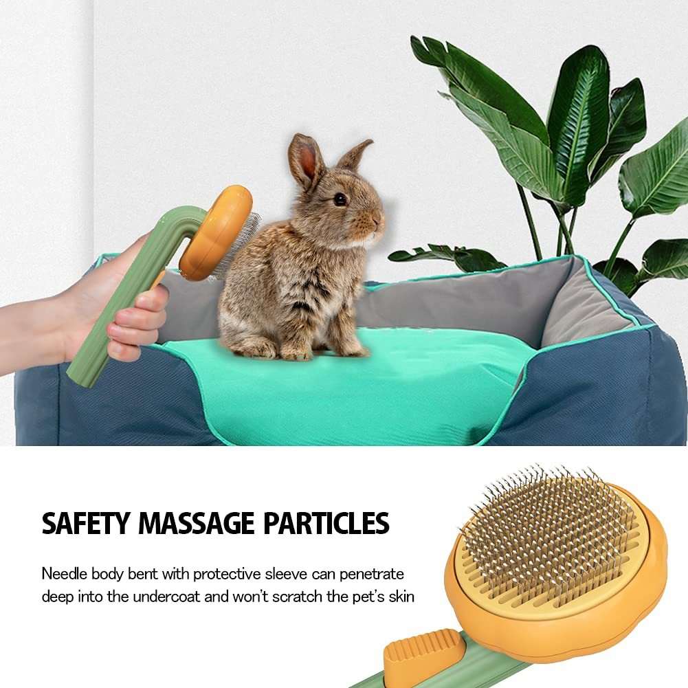 Pawdorablegoods™ Pet Pumkin Brush