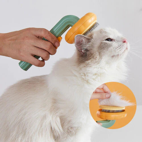 Pawdorablegoods™ Pet Pumkin Brush