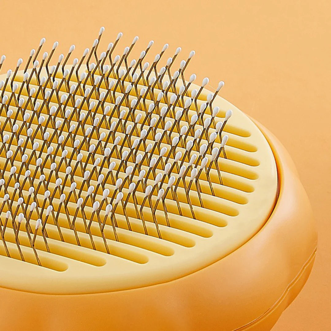 Pawdorablegoods™ Pet Pumkin Brush