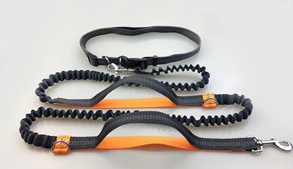 Pawdorablegoods™ Bungee Leash