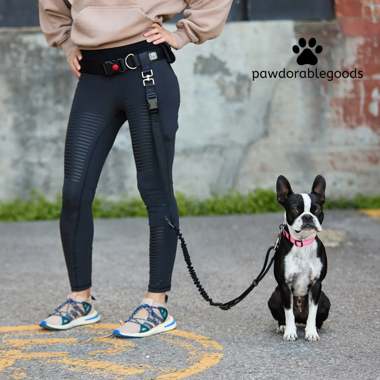 Pawdorablegoods™ Bungee Leash