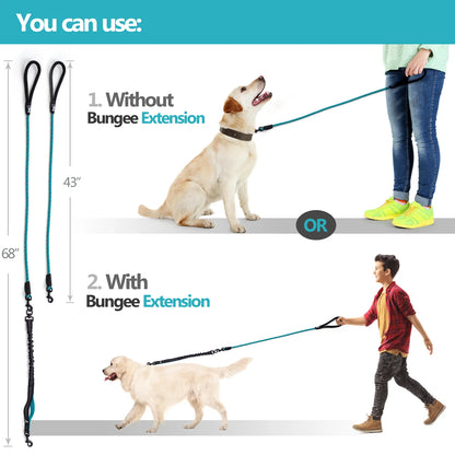 Pawdorablegoods™ Bungee Leash