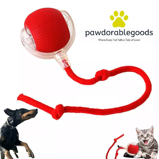 Pawdorablegoods™ Interactive Rolling Ball