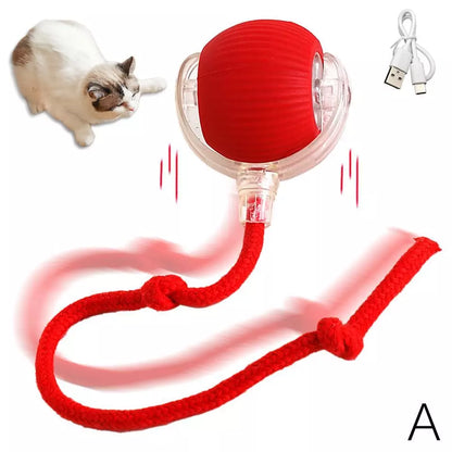 Pawdorablegoods™ Interactive Rolling Ball