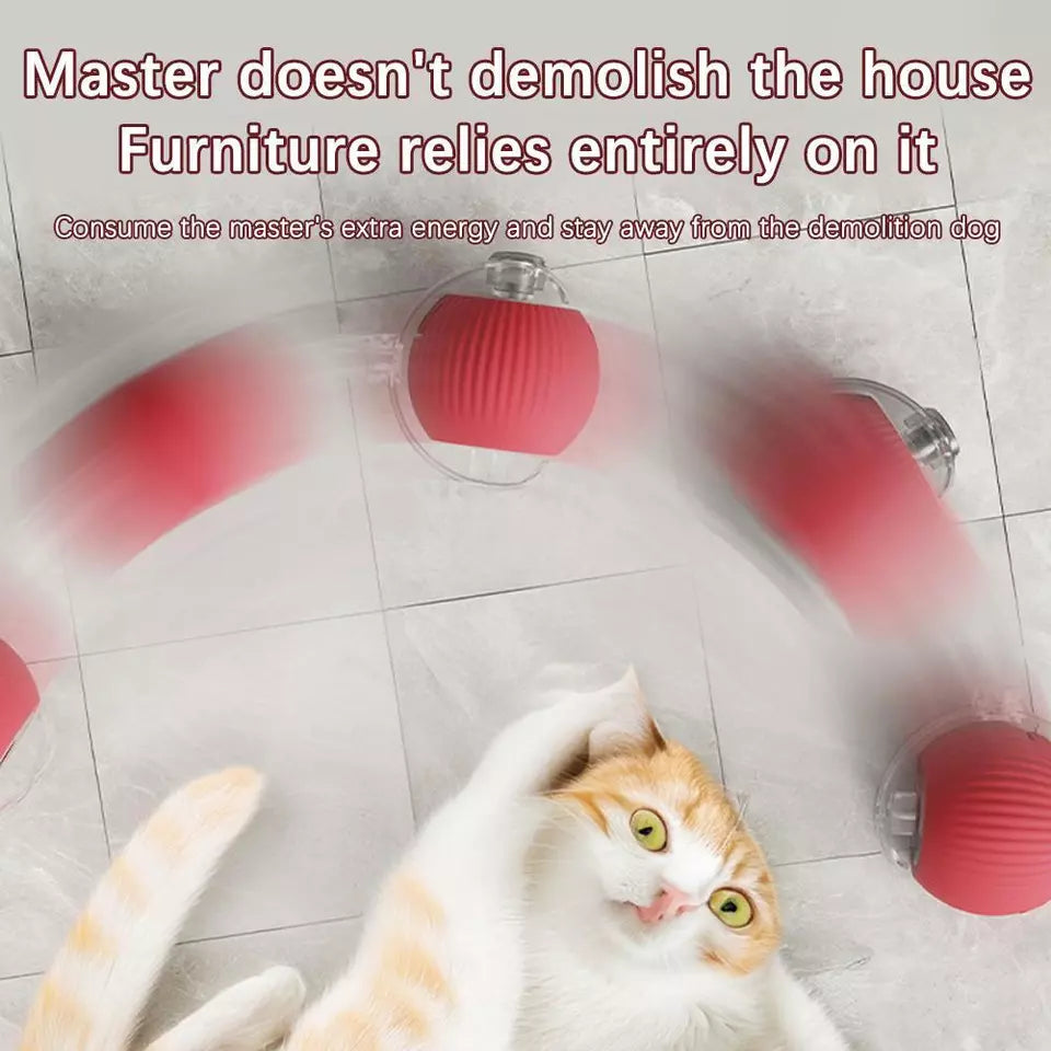 Pawdorablegoods™ Interactive Rolling Ball